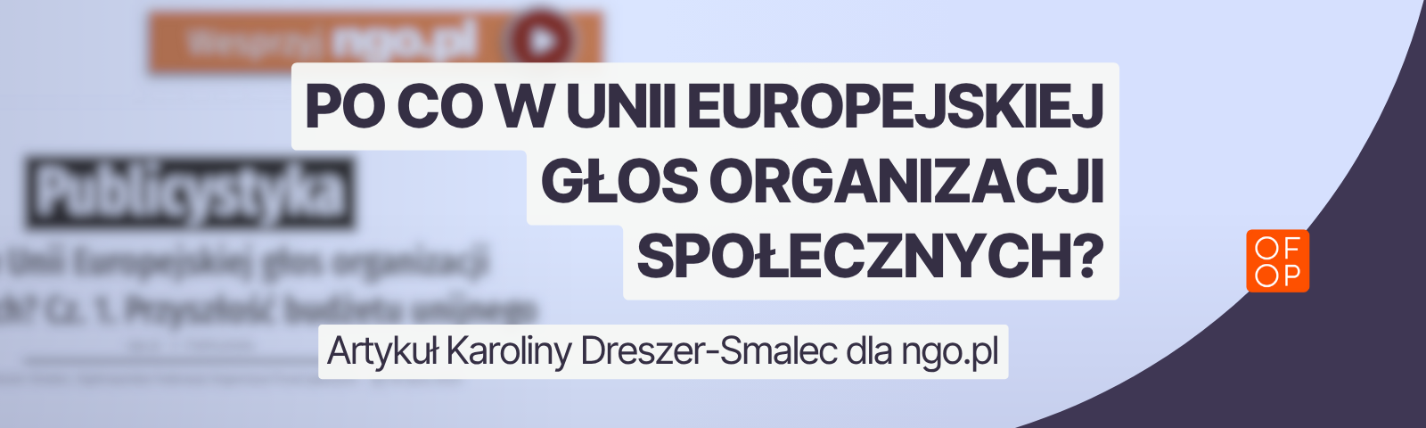 Po co w Unii Europejskiej głos organizacji społecznych? Artykuł Karoliny Dreszer-Smalec dla ngo.pl.